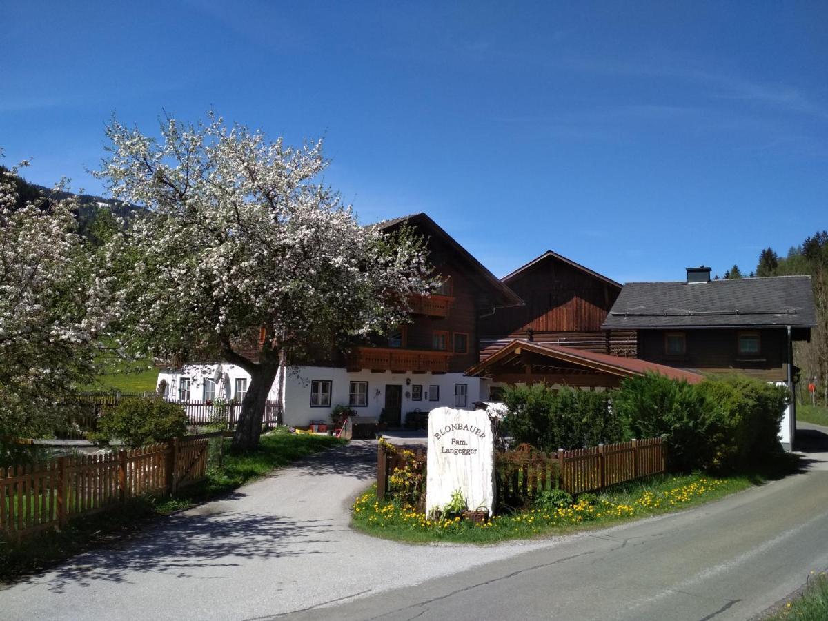Blonbauer Villa Schladming Exteriör bild