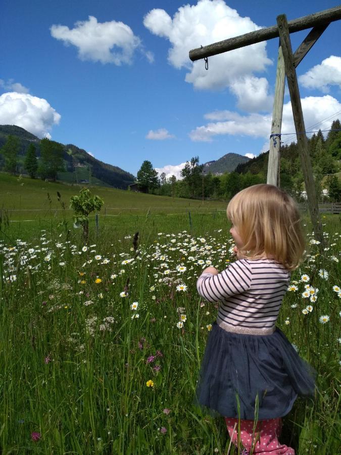 Blonbauer Villa Schladming Exteriör bild