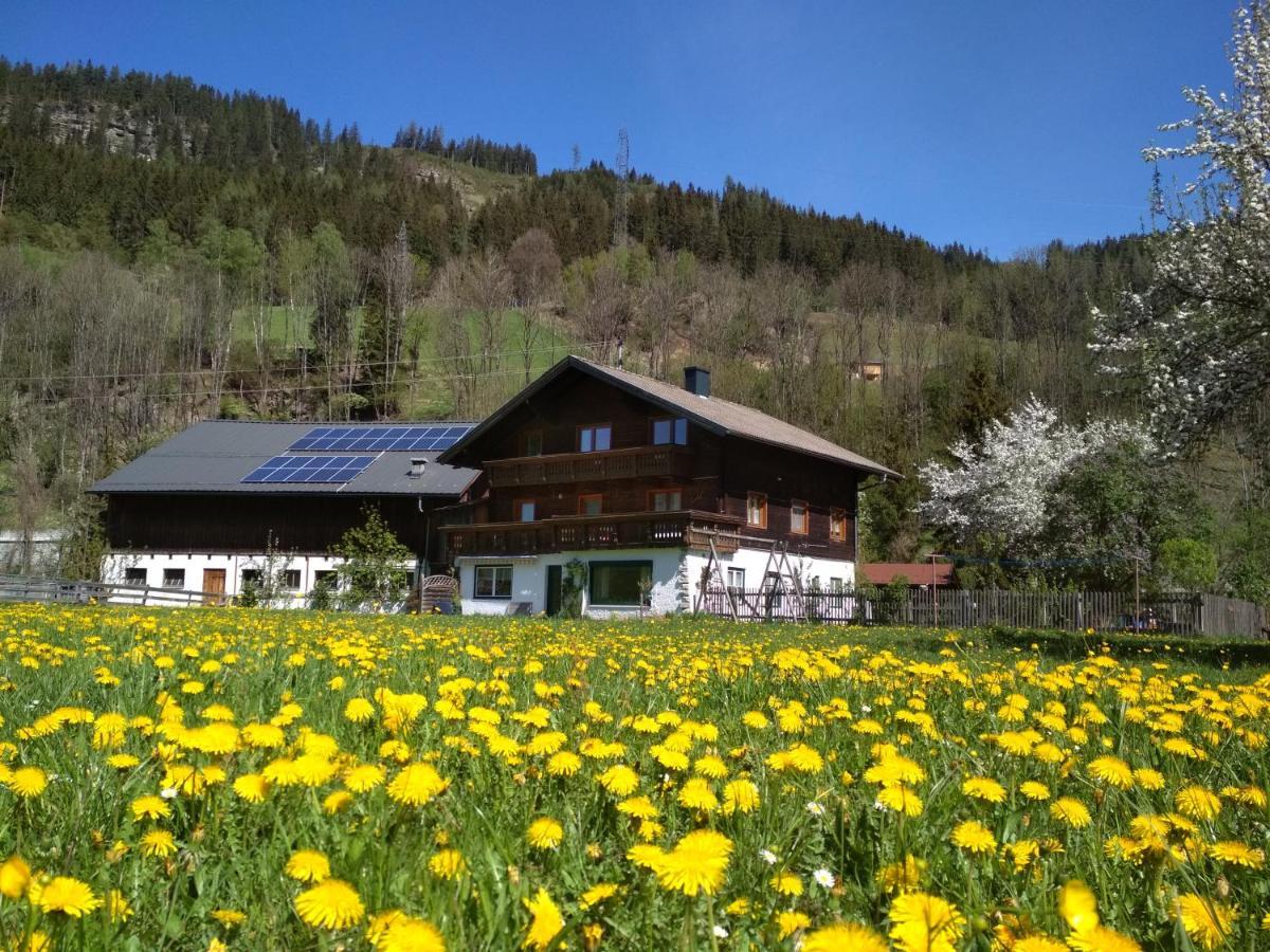Blonbauer Villa Schladming Exteriör bild