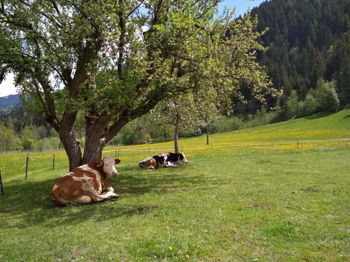 Blonbauer Villa Schladming Exteriör bild
