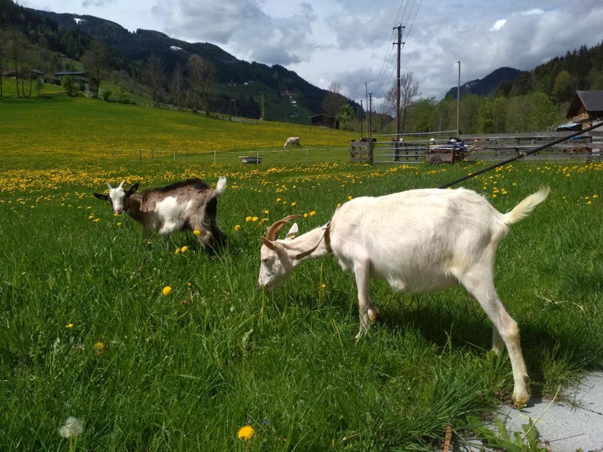 Blonbauer Villa Schladming Exteriör bild