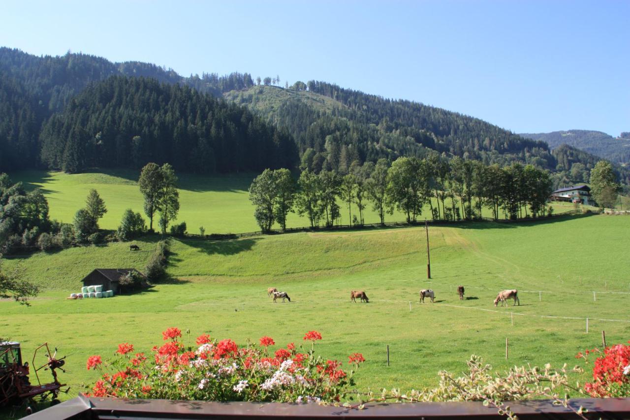 Blonbauer Villa Schladming Exteriör bild