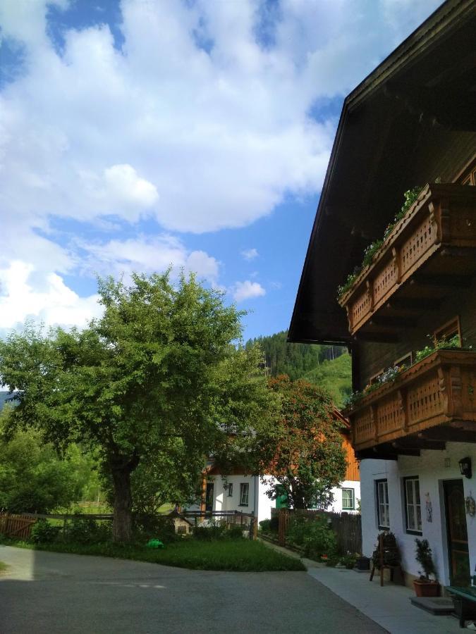 Blonbauer Villa Schladming Exteriör bild